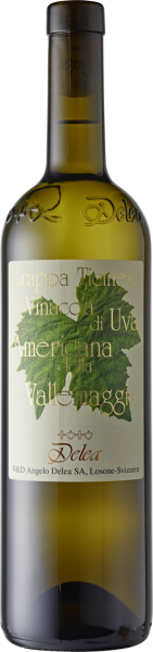 Grappa Vallemaggia di uva Americana